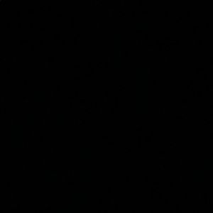 Meet your Posher, Carolune